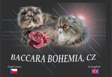 Baccara Bohemia,CZ
