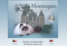 de Montespan - perské kočky colorpoint / persian and exotic colourpoint cats