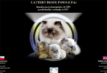 Deste Paws perský colorpoint / himalayan cats