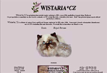 Wistaria - colorpoint, i v barvách lila a čkoláda. CHS již kočky nechová!!