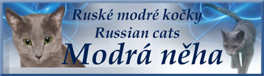 MODRÁ NĚHA - russian cats