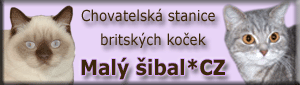 Malý šibal - britské kočky s odznaky