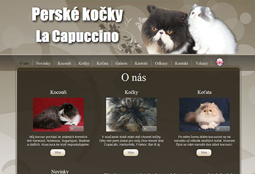 La Capuccino - pure persian cats