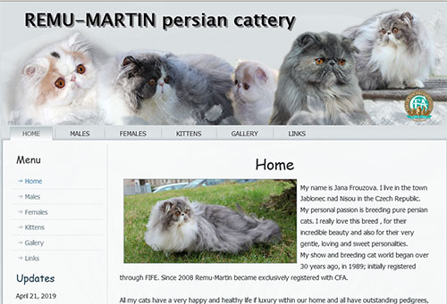 REMU-MARTIN - perské kočky