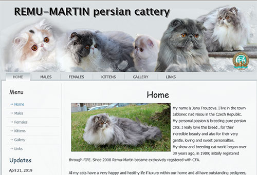 REMU-MARTIN - persian cats, CFA registered
