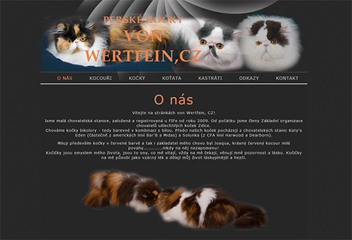 von Wertfein - persian and ELH cats