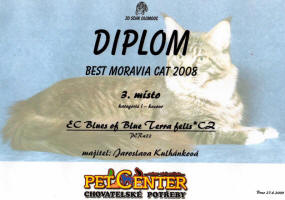 Blues - diplom