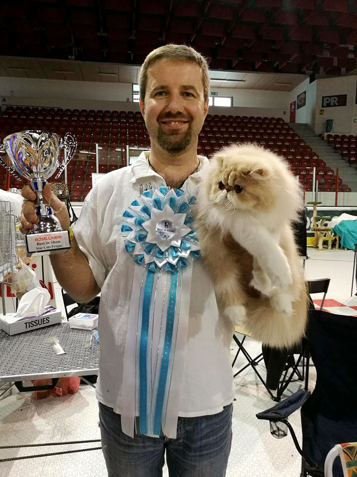 Ufania La Capuccino 10 months - Cat show Prague: 3rd CAC, BIS