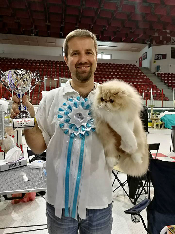 Ufania La Capuccino 10 months - Cat show Prague: 3rd CAC, BIS