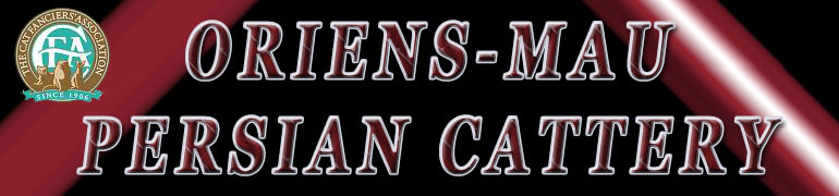 Oriens-Mau cattery