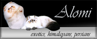 ALOMI persians, exotics, himalayans
