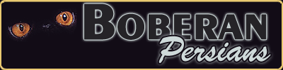 BOBERAN persians