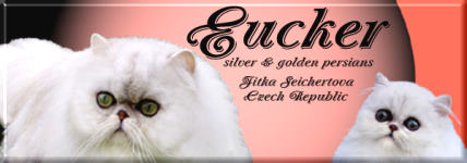 EUCKER silver and golden persian cats