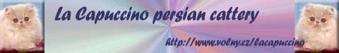 La Capucino persians