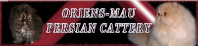 Oriens-Mau persian cats - in memoriam