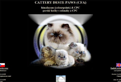 DESTE PAWS persian himalayans, colourpoint, persk koky s odznaky