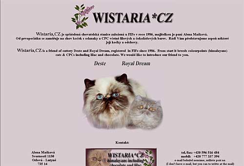 WISTARIA persian colourpoints, persk koky s odznaky